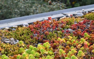 the cost of Glyn Castle green roof installation