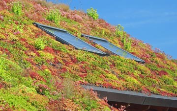Glyn Castle living roof systems