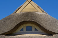 Glyn Castle thatch roofing